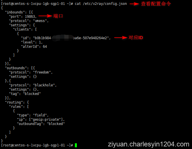 最新V2Ray搭建图文教程
