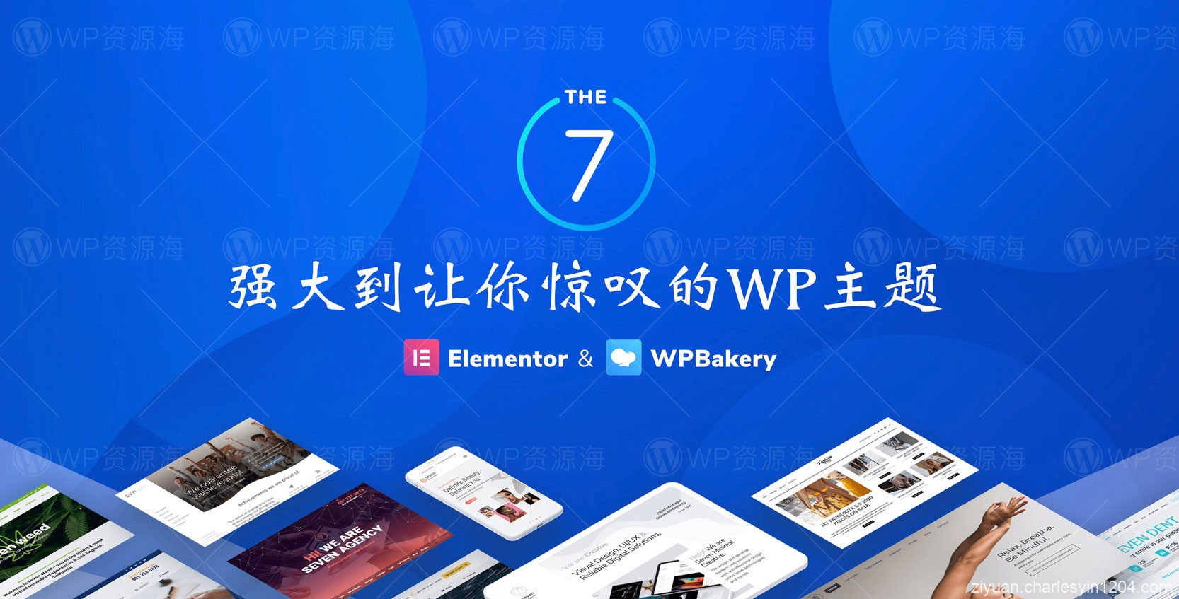 分享大量WordPress主题及各种插件激活破解版源码集合2